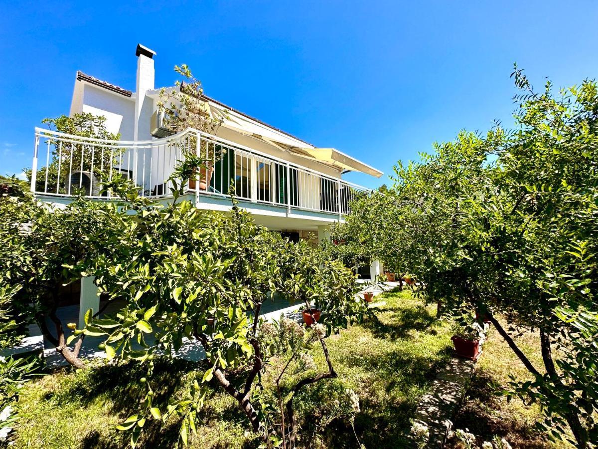 Vila Perla & Palma Žaborić Exteriér fotografie